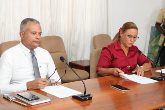 Vice President Pillay outlines Cabinet decisions on public safety, system reform and service delivery